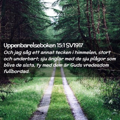 Picture 02 - Uppenbarelseboken 15:1 SV1917 - Och jag såg ett annat tecken i himmelen, stort - Bible Verse Picture