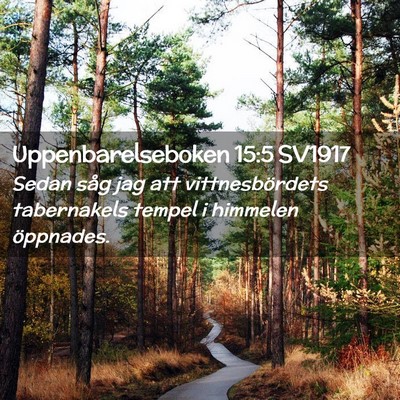 Picture 02 - Uppenbarelseboken 15:5 SV1917 - Sedan såg jag att vittnesbördets tabernakels - Bible Verse Picture