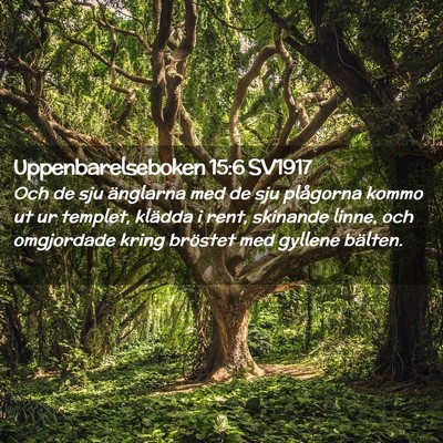 Picture 02 - Uppenbarelseboken 15:6 SV1917 - Och de sju änglarna med de sju plågorna kommo - Bible Verse Picture
