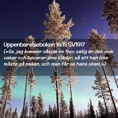 Picture 02 - Uppenbarelseboken 16:15 SV1917 - (»Se, jag kommer såsom en tjuv; salig är den - Bible Verse Picture