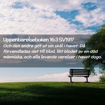 Picture 02 - Uppenbarelseboken 16:3 SV1917 - Och den andre göt ut sin skål i havet. Då - Bible Verse Picture