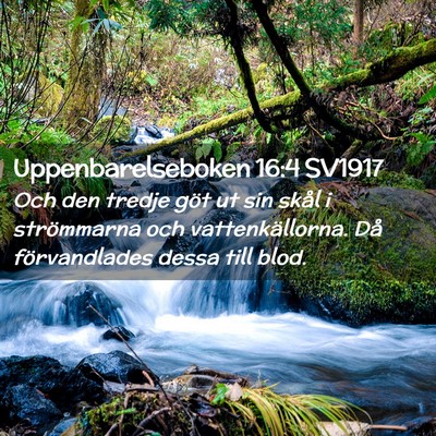Picture 02 - Uppenbarelseboken 16:4 SV1917 - Och den tredje göt ut sin skål i strömmarna - Bible Verse Picture