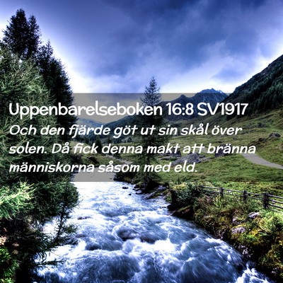 Picture 02 - Uppenbarelseboken 16:8 SV1917 - Och den fjärde göt ut sin skål över solen. - Bible Verse Picture