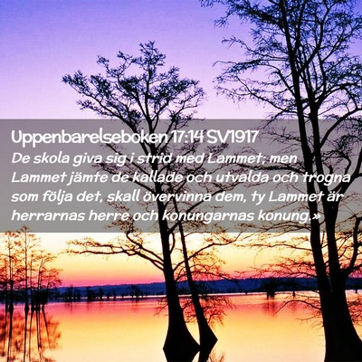 Picture 02 - Uppenbarelseboken 17:14 SV1917 - De skola giva sig i strid med Lammet; men Lammet - Bible Verse Picture