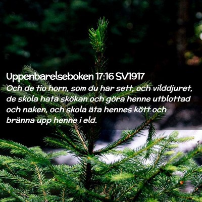 Picture 02 - Uppenbarelseboken 17:16 SV1917 - Och de tio horn, som du har sett, och vilddjuret, - Bible Verse Picture