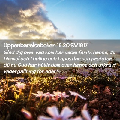 Picture 02 - Uppenbarelseboken 18:20 SV1917 - Gläd dig över vad som har vederfarits henne, du - Bible Verse Picture