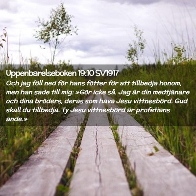 Picture 02 - Uppenbarelseboken 19:10 SV1917 - Och jag föll ned för hans fötter för att - Bible Verse Picture