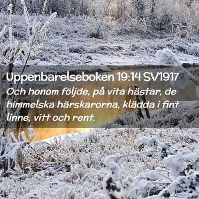 Picture 02 - Uppenbarelseboken 19:14 SV1917 - Och honom följde, på vita hästar, de himmelska - Bible Verse Picture