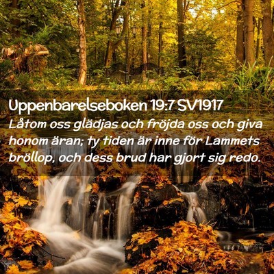 Picture 02 - Uppenbarelseboken 19:7 SV1917 - Låtom oss glädjas och fröjda oss och giva - Bible Verse Picture