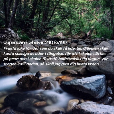 Picture 02 - Uppenbarelseboken 2:10 SV1917 - Frukta icke för det som du skall få lida. Se, - Bible Verse Picture