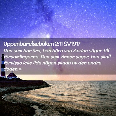 Picture 02 - Uppenbarelseboken 2:11 SV1917 - Den som har öra, han höre vad Anden säger till - Bible Verse Picture