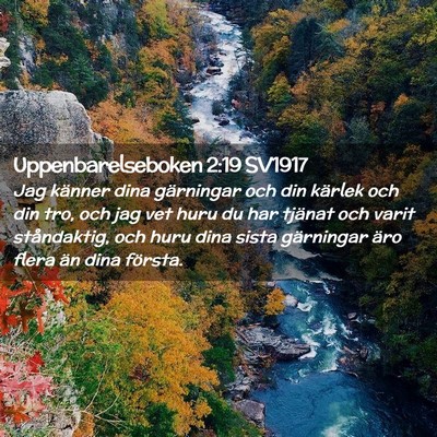 Picture 02 - Uppenbarelseboken 2:19 SV1917 - Jag känner dina gärningar och din kärlek och - Bible Verse Picture