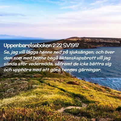 Picture 02 - Uppenbarelseboken 2:22 SV1917 - Se, jag vill lägga henne ned på sjuksängen; - Bible Verse Picture