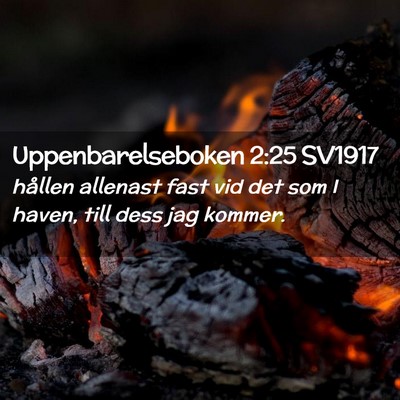 Picture 02 - Uppenbarelseboken 2:25 SV1917 - hållen allenast fast vid det som I haven, till - Bible Verse Picture