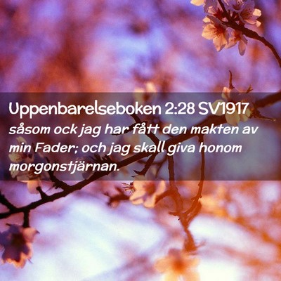 Picture 02 - Uppenbarelseboken 2:28 SV1917 - såsom ock jag har fått den makten av min Fader; - Bible Verse Picture