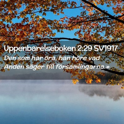 Picture 02 - Uppenbarelseboken 2:29 SV1917 - Den som har öra, han höre vad Anden säger till - Bible Verse Picture