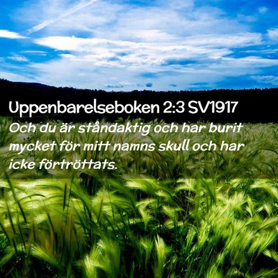 Picture 02 - Uppenbarelseboken 2:3 SV1917 - Och du är ståndaktig och har burit mycket för - Bible Verse Picture