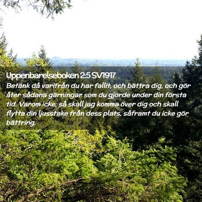 Picture 02 - Uppenbarelseboken 2:5 SV1917 - Betänk då varifrån du har fallit, och bättra - Bible Verse Picture