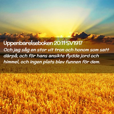 Picture 02 - Uppenbarelseboken 20:11 SV1917 - Och jag såg en stor vit tron och honom som satt - Bible Verse Picture