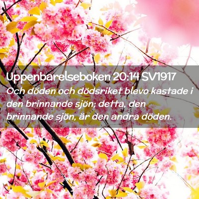 Picture 02 - Uppenbarelseboken 20:14 SV1917 - Och döden och dödsriket blevo kastade i den - Bible Verse Picture