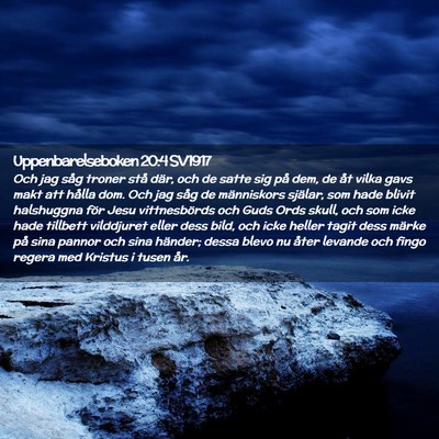 Picture 02 - Uppenbarelseboken 20:4 SV1917 - Och jag såg troner stå där, och de satte sig - Bible Verse Picture