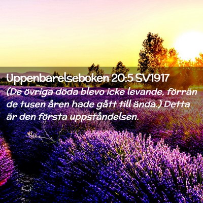 Picture 02 - Uppenbarelseboken 20:5 SV1917 - (De övriga döda blevo icke levande, förrän de - Bible Verse Picture