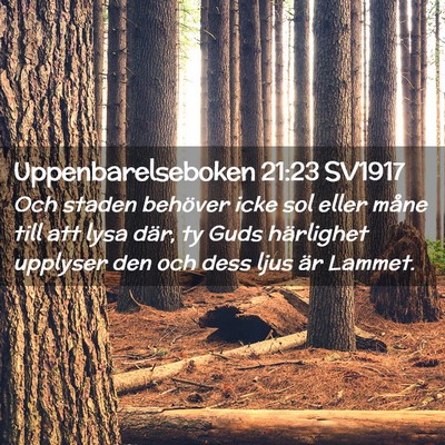 Picture 02 - Uppenbarelseboken 21:23 SV1917 - Och staden behöver icke sol eller måne till att - Bible Verse Picture