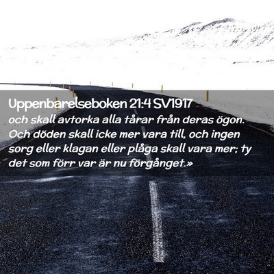 Picture 02 - Uppenbarelseboken 21:4 SV1917 - och skall avtorka alla tårar från deras ögon. - Bible Verse Picture