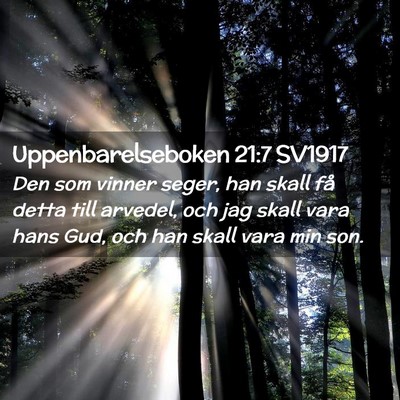 Picture 02 - Uppenbarelseboken 21:7 SV1917 - Den som vinner seger, han skall få detta till - Bible Verse Picture