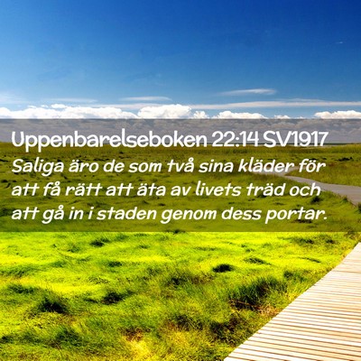 Picture 02 - Uppenbarelseboken 22:14 SV1917 - Saliga äro de som två sina kläder för att få - Bible Verse Picture
