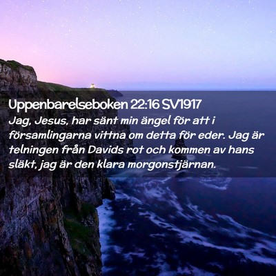Picture 02 - Uppenbarelseboken 22:16 SV1917 - Jag, Jesus, har sänt min ängel för att i - Bible Verse Picture