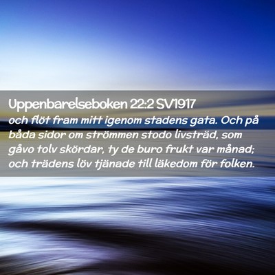 Picture 02 - Uppenbarelseboken 22:2 SV1917 - och flöt fram mitt igenom stadens gata. Och på - Bible Verse Picture