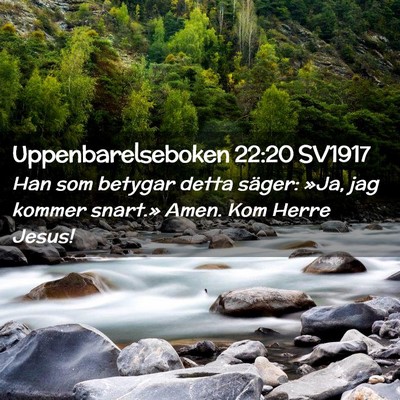 Picture 02 - Uppenbarelseboken 22:20 SV1917 - Han som betygar detta säger: »Ja, jag kommer - Bible Verse Picture