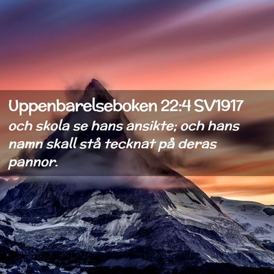 Picture 02 - Uppenbarelseboken 22:4 SV1917 - och skola se hans ansikte; och hans namn skall - Bible Verse Picture
