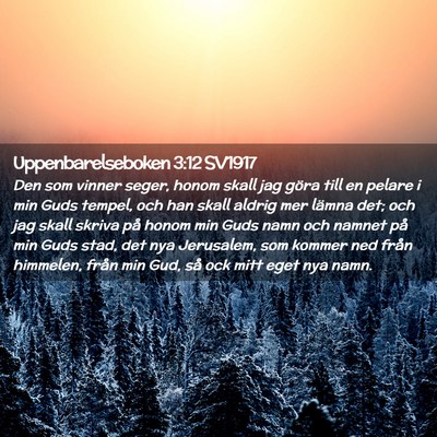 Picture 02 - Uppenbarelseboken 3:12 SV1917 - Den som vinner seger, honom skall jag göra till - Bible Verse Picture