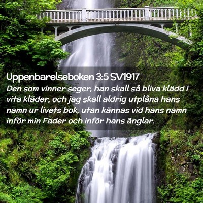 Picture 02 - Uppenbarelseboken 3:5 SV1917 - Den som vinner seger, han skall så bliva klädd - Bible Verse Picture