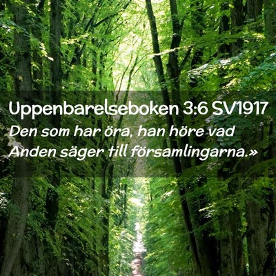 Picture 02 - Uppenbarelseboken 3:6 SV1917 - Den som har öra, han höre vad Anden säger till - Bible Verse Picture
