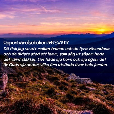 Picture 02 - Uppenbarelseboken 5:6 SV1917 - Då fick jag se att mellan tronen och de fyra - Bible Verse Picture