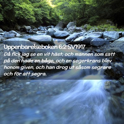 Picture 02 - Uppenbarelseboken 6:2 SV1917 - Då fick jag se en vit häst; och mannen som satt - Bible Verse Picture
