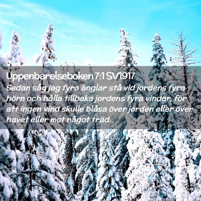 Picture 02 - Uppenbarelseboken 7:1 SV1917 - Sedan såg jag fyra änglar stå vid jordens fyra - Bible Verse Picture