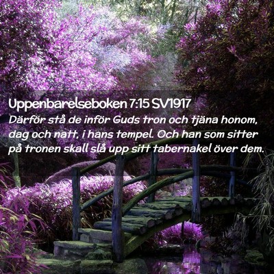 Picture 02 - Uppenbarelseboken 7:15 SV1917 - Därför stå de inför Guds tron och tjäna - Bible Verse Picture