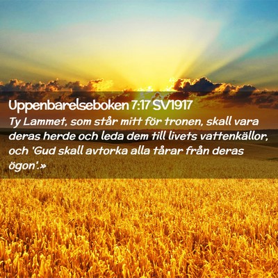 Picture 02 - Uppenbarelseboken 7:17 SV1917 - Ty Lammet, som står mitt för tronen, skall vara - Bible Verse Picture