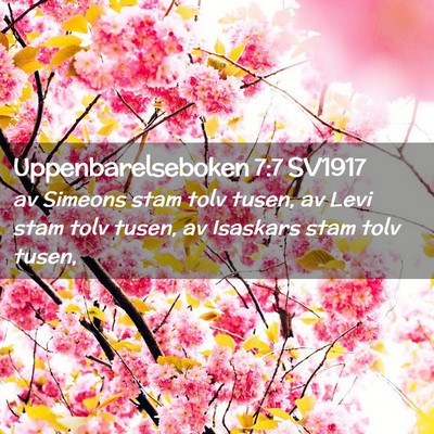 Picture 02 - Uppenbarelseboken 7:7 SV1917 - av Simeons stam tolv tusen, av Levi stam tolv - Bible Verse Picture