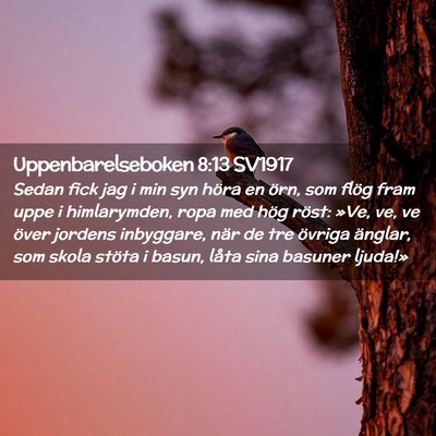Picture 02 - Uppenbarelseboken 8:13 SV1917 - Sedan fick jag i min syn höra en örn, som flög - Bible Verse Picture
