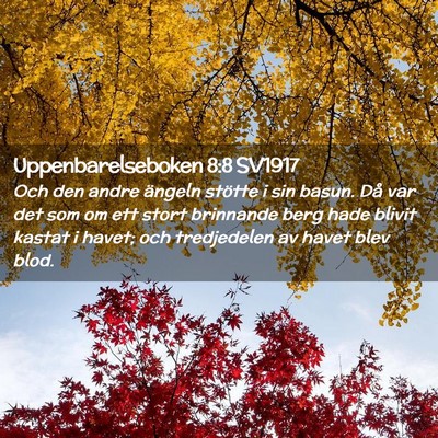 Picture 02 - Uppenbarelseboken 8:8 SV1917 - Och den andre ängeln stötte i sin basun. Då - Bible Verse Picture