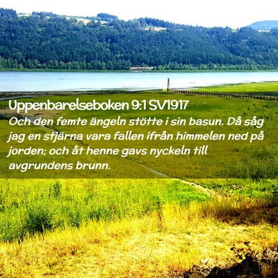 Picture 02 - Uppenbarelseboken 9:1 SV1917 - Och den femte ängeln stötte i sin basun. Då - Bible Verse Picture