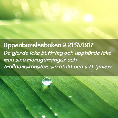 Picture 02 - Uppenbarelseboken 9:21 SV1917 - De gjorde icke bättring och upphörde icke med - Bible Verse Picture