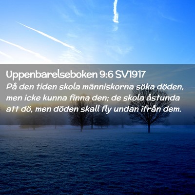 Picture 02 - Uppenbarelseboken 9:6 SV1917 - På den tiden skola människorna söka döden, - Bible Verse Picture