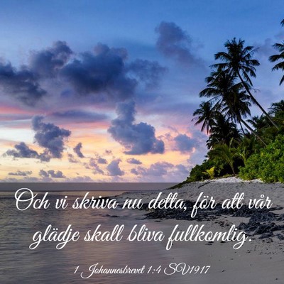 Picture 03 - 1 Johannesbrevet 1:4 SV1917 - Och vi skriva nu detta, för att vår glädje - Bible Verse Picture