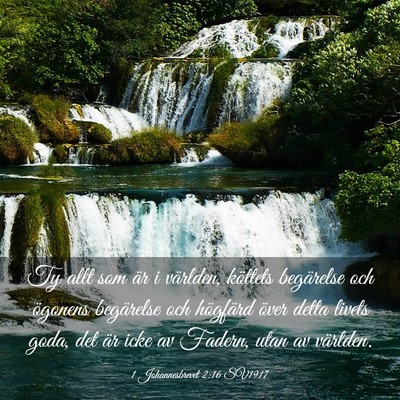 Picture 03 - 1 Johannesbrevet 2:16 SV1917 - Ty allt som är i världen, köttets begärelse - Bible Verse Picture